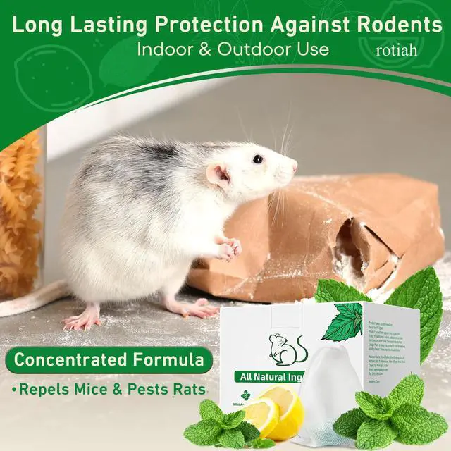 Alt view image 7 of 7 - Pest Rodent Repellent, 24 Pack Peppermint Oil Repellent for Mouse Rats Spider Roach Ant Squirrel Pest Control Indoor & Outdoor, Natural Mice Deterrent Replace Trap Poisoning Family & Pet Safe Green