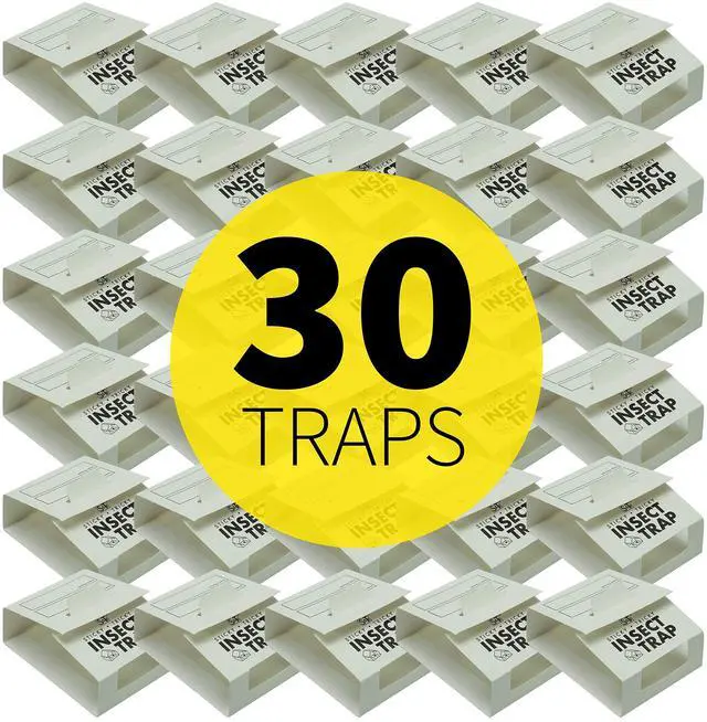 Alt view image 2 of 6 - Insect Traps, 30 Count, Glue Traps for Brown Recluse, Hobo Spiders, Black Widows, Use in Home, Basement or Garage, or Utility Rooms for Pest Control
