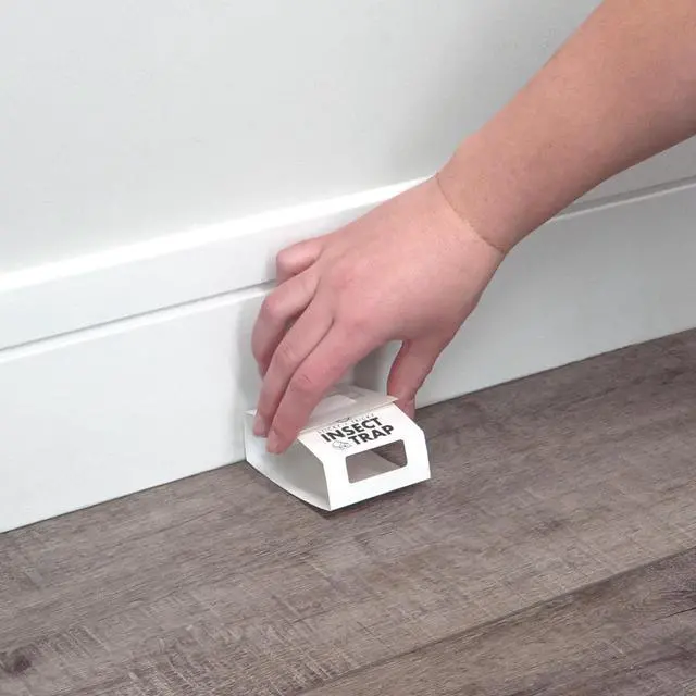 Alt view image 4 of 6 - Insect Traps, 30 Count, Glue Traps for Brown Recluse, Hobo Spiders, Black Widows, Use in Home, Basement or Garage, or Utility Rooms for Pest Control