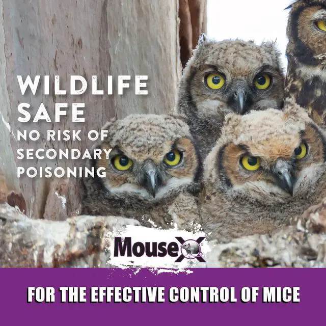 Alt view image 6 of 7 - Rodent Control Bait Pellet Throw Packs for Rats & Mice Poison Free, Pet Safe | Indoor & Outdoor Use Pellets |6 Throw Packs