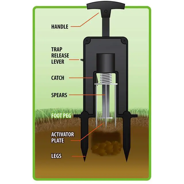 Alt view image 3 of 4 - Easy-to-Set Deadset Mole Trap and Killer - M9015 - Trap and Kill Moles Outdoors