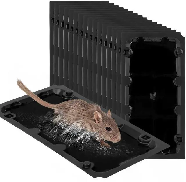 Main image of 16 Pack Sticky Mouse Trap Rat Traps Indoor, Peanut Taste Pheromone Mouse Traps Indoor for Home, Glue Sticky Traps for Mice and Rats, Snake