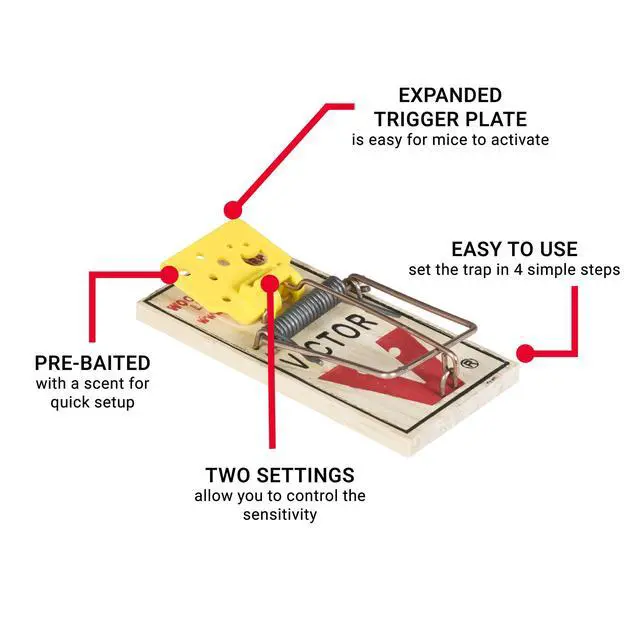 Alt view image 3 of 6 - Set Wooden Snap Trap - 12 Pack