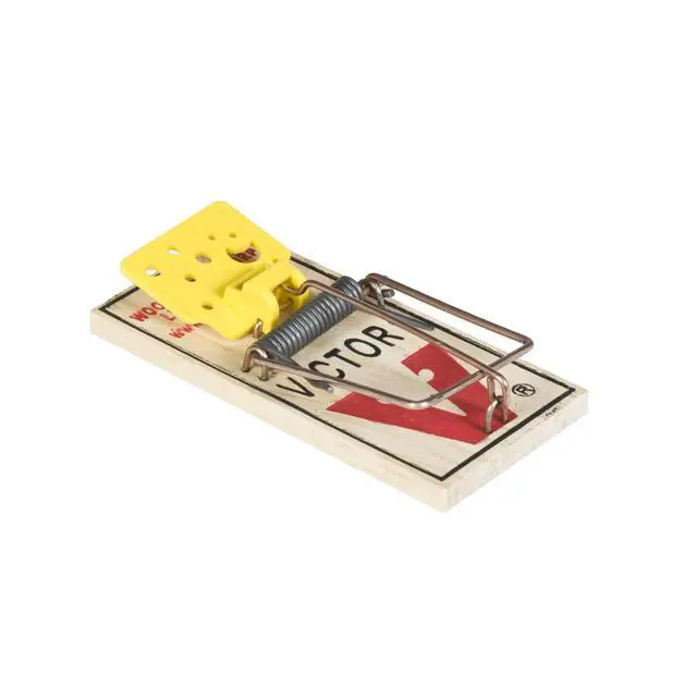 Alt view image 4 of 6 - Set Wooden Snap Trap - 12 Pack