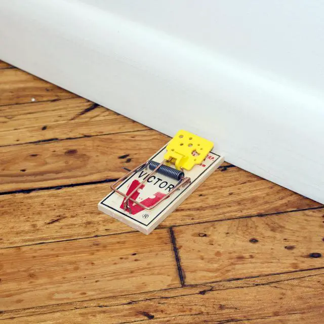 Alt view image 6 of 6 - Set Wooden Snap Trap - 12 Pack
