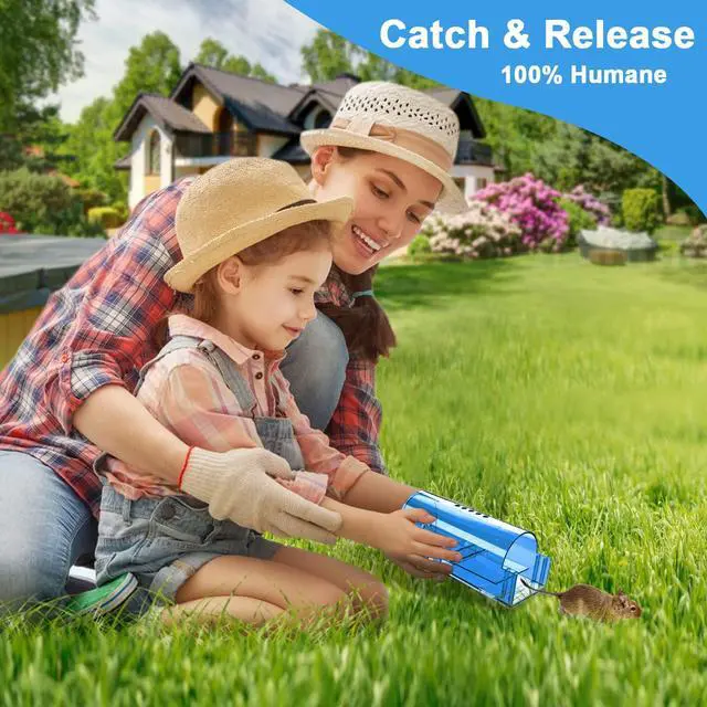 Alt view image 7 of 7 - 6 Pack Humane Mouse Traps No Kill, Catch and Release Live Mouse Trap Indoor for Home, Reusable Mice Trap Cage with Cleaning Brush(Blue)