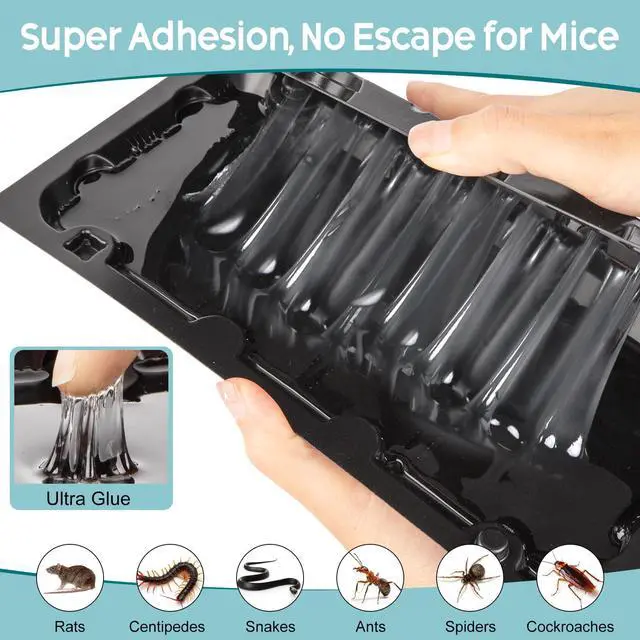 Alt view image 4 of 7 - 10 Pack Sticky Mouse Trap Rat Trap Indoor, Peanut Taste Pheromone Mouse Traps Indoor for Home, Glue Sticky Traps for Mice and Rats, Snake(Large Size)