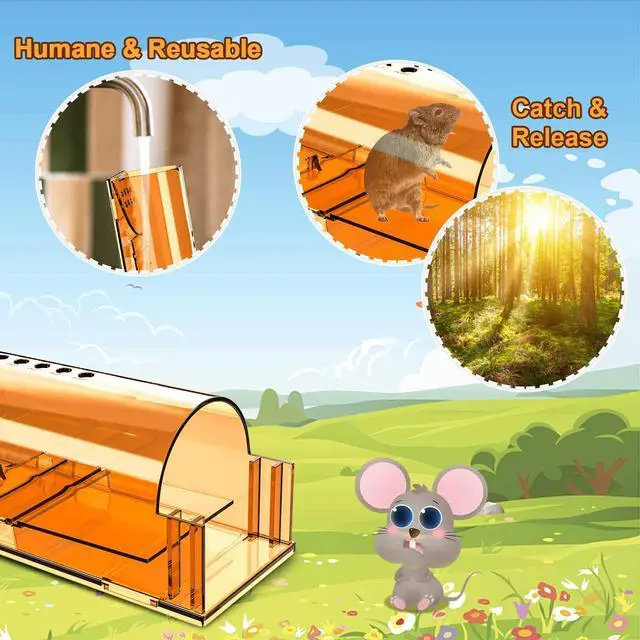 Alt view image 3 of 7 - 4 Pack Humane Mouse Traps Indoor for Home, Live Mouse Traps No Kill, Reusable Mice Small Rat Trap Catcher for House & Outdoors