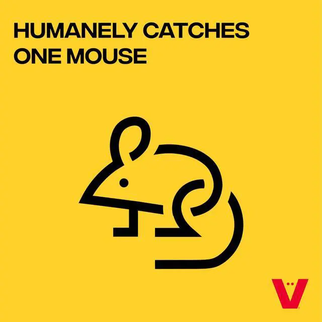 Alt view image 3 of 7 - Live Catch Mouse Trap - 4 Traps - M337SR-4 - Live Catch and Release Trap for Mice - Humane Mouse Traps - Clear Design - Humane, Easy to Use - 4 Pack