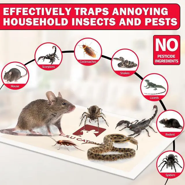 Alt view image 5 of 7 - Mouse Traps, 20 Pack Pre-Baited Sticky Mouse Traps Indoor for Home, Non-Toxic Bulk Sticky Pads, Glue Traps for Rats, Bugs, Spider, Mice, Cockroach, Pet Safe, Easy to Use