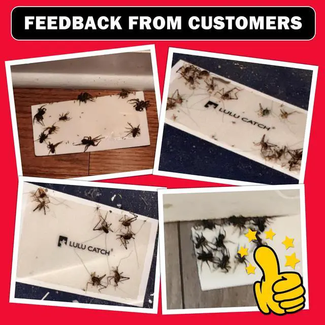 Alt view image 7 of 7 - Mouse Traps, 20 Pack Pre-Baited Sticky Mouse Traps Indoor for Home, Non-Toxic Bulk Sticky Pads, Glue Traps for Rats, Bugs, Spider, Mice, Cockroach, Pet Safe, Easy to Use