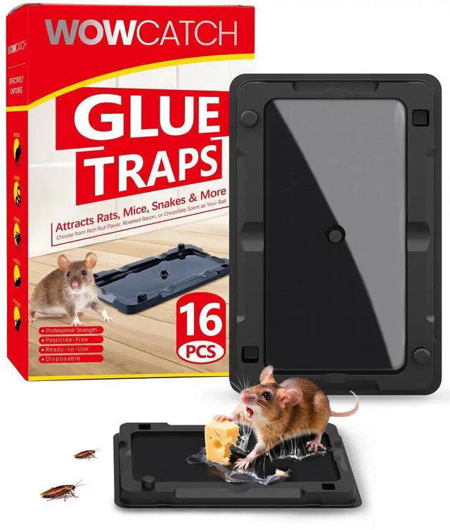 Main image of Sticky Mouse Traps Indoor for Home - 16 Pack Glue Traps for Mice, Roaches, Rodent Catcher for Kitchen,Garage, Sticky Glue Boards for Insects, Pet Safe Pest Control, Non-Toxic, Small Size