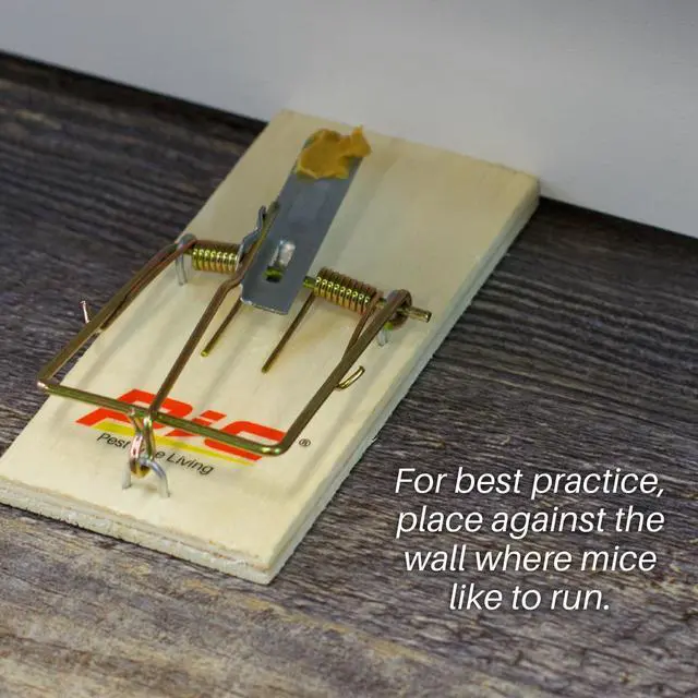 Alt view image 4 of 7 - Wood Mouse Traps, 4 Count