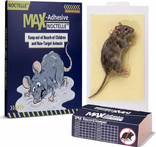 Main image of 15 Pack Glue Traps for Mice, Mouse Glue Traps Indoor for Home, Sticky Mouse Traps, Glue Boards for Mice, Bed Bugs, Spiders, Cockroaches, No-Mess Traps for Garage, Basement & Attic