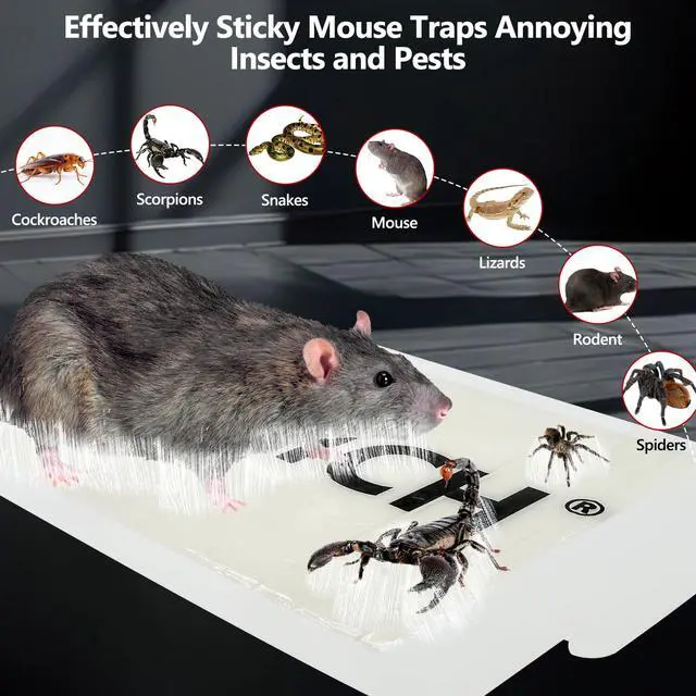 Alt view image 4 of 7 - 16 Pack Mouse Glue Trap,Mouse Traps Indoor for Home,Adhesive Bugs Roach Spider Insect Traps,Sticky Mouse Traps,Bulk Glue Traps for Mice