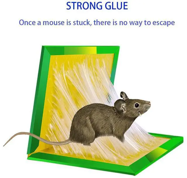 Alt view image 4 of 7 - Mouse Traps,Rat Trap,Mice Traps for House,Mouse Traps for Indoor Home,Small Mice Catchers for Home,Glue can Catch All Kinds of Rodent Mouse Suitable for Indoor and Outdoor