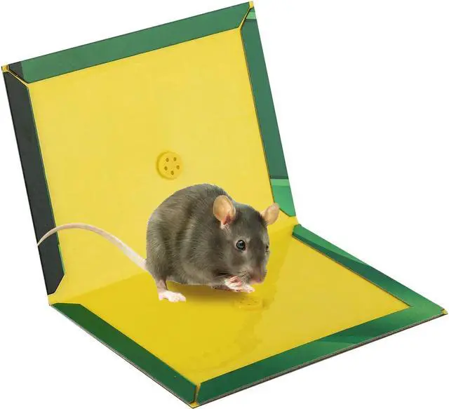 Alt view image 7 of 7 - Mouse Traps,Rat Trap,Mice Traps for House,Mouse Traps for Indoor Home,Small Mice Catchers for Home,Glue can Catch All Kinds of Rodent Mouse Suitable for Indoor and Outdoor