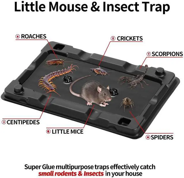 Alt view image 2 of 7 - Mouse & Insect Traps 12 Pack, Heavier Sticky Traps with Non-Toxic Glue for Small Mice & Insects. Sticky Mouse Traps Indoor for Home, Easy to Set
