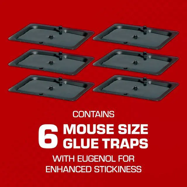 Alt view image 2 of 7 - Glue Traps Mouse Size with Eugenol for Enhanced Stickiness - Sticky Pads For Mice, Cockroaches, and Spiders, 6 Traps