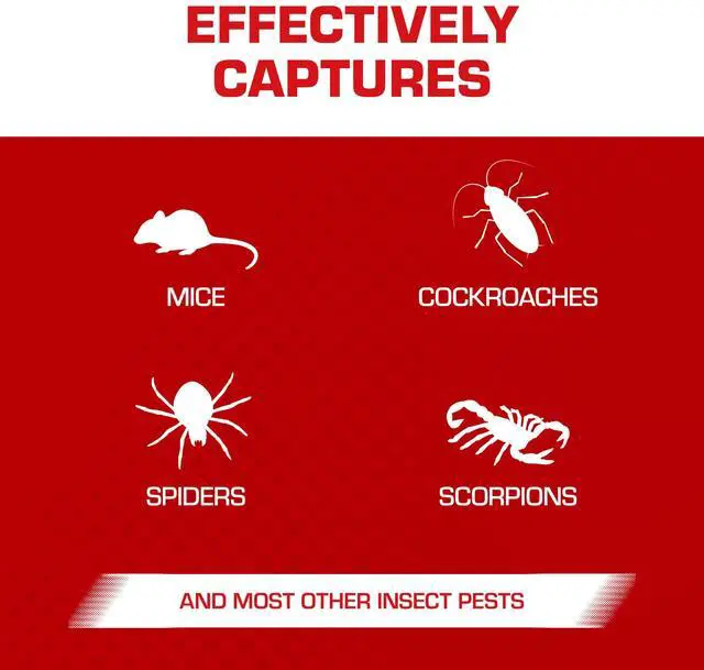 Alt view image 4 of 7 - Glue Traps Mouse Size with Eugenol for Enhanced Stickiness - Sticky Pads For Mice, Cockroaches, and Spiders, 6 Traps