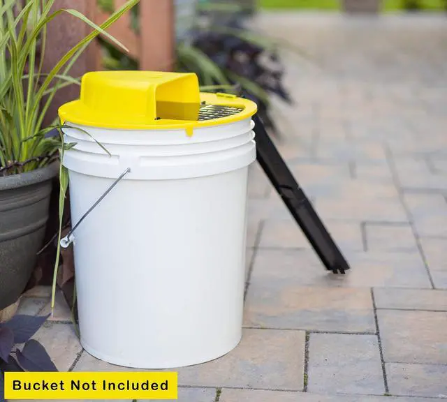 Alt view image 4 of 7 - Flip N Slide Bucket Lid Mouse Trap |2 Pack| |Multi Catch| |Made in USA | US Pat D1,039,648s