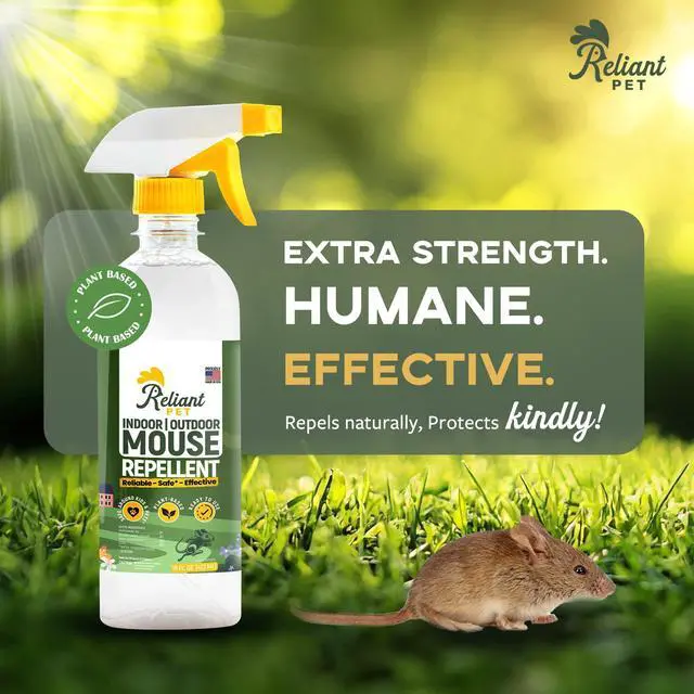Alt view image 3 of 6 - Peppermint Oil Mouse Repellent Spray - 16oz - Plant Based Mice Deterrent for Indoor & Outdoor Use - Pest Control for Home, Car Engines, RV - Made in USA