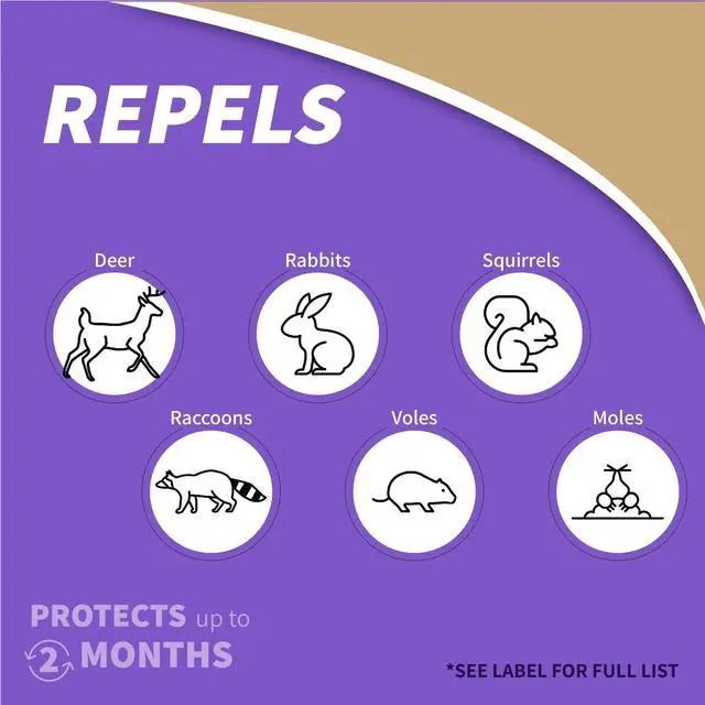 Alt view image 3 of 7 - Repels-All Animal Repellent, 32 oz Concentrate, Long Lasting Outdoor Garden Deer Repellent, People and Pet Safe