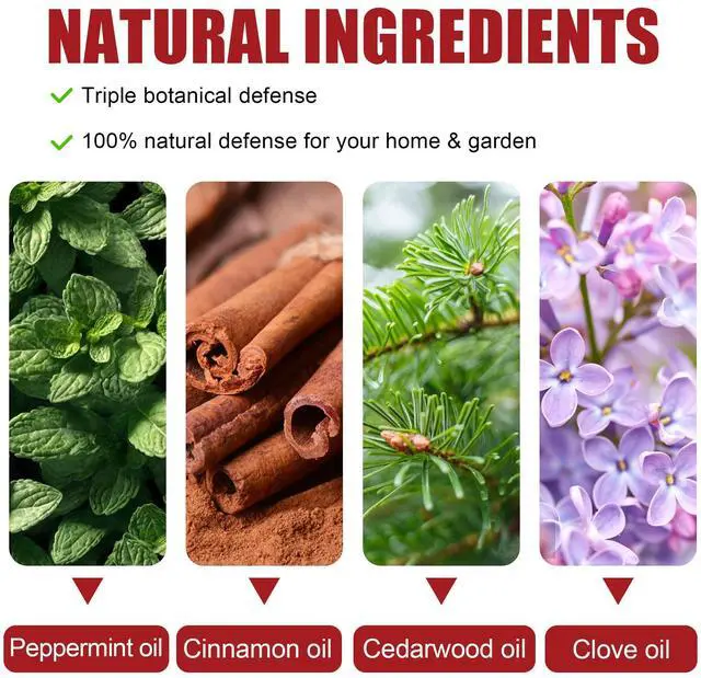 Alt view image 3 of 7 - Mouse Rodent Repellent Pouches Peppermint, Castor Oil & Cinnamon Formula Natural Indoor Deterrent for Mice and Rodents Plant-Based, Long-Lasting Protection 12 Pack
