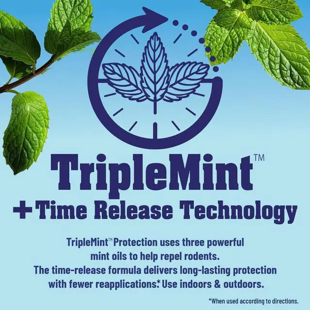Alt view image 5 of 7 - Rodent Repellent Concentrate, 8 fl oz Makes 64 oz of Ready-to-Use Rodent Repellent TripleMint Botanical Formula for Vehicles, Indoor & Outdoor Use