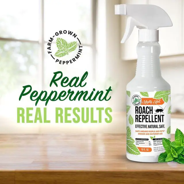 Alt view image 2 of 7 - Peppermint Oil Roach Repellent Spray Natural Cockroach Killer for Indoor & Outdoor Use Plant-Based Insect & Pest Control 16 oz