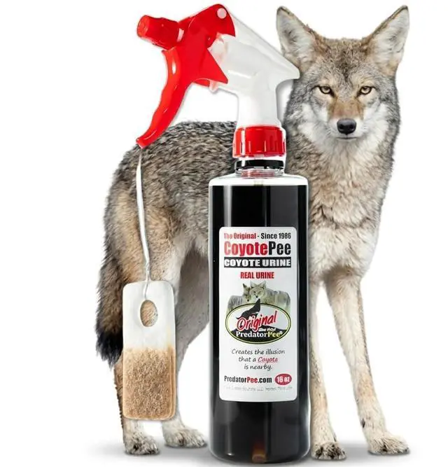 Main image of Coyote Urine with 10 ScentTags, Territorial Marking Scent Kit, Creates Predator Presence Illusion for Deer Raccoons Groundhogs Rats, Outdoor Yard Garden Perimeter Setup, 16 Oz