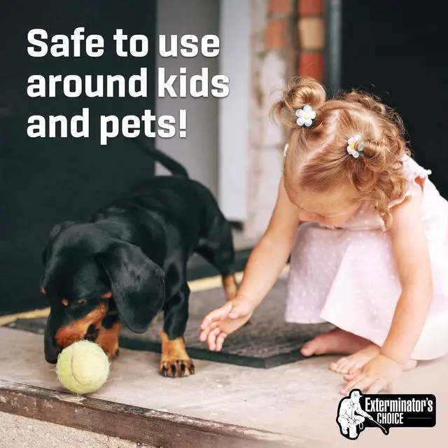 Alt view image 6 of 7 - Small Animal Protection 2 Pack Rodent Repellent for Rodents, Rats Squirrels mice Nesting/Chewing-All Natural-Rats, Squirrels & Others