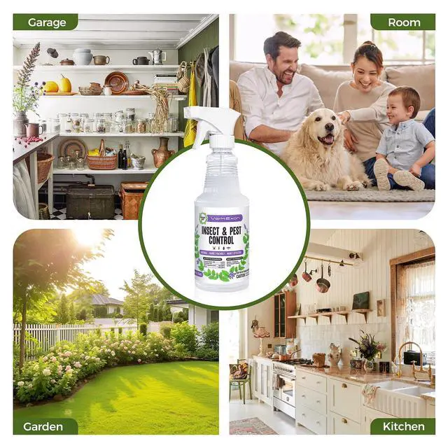 Alt view image 6 of 7 - Peppermint Oil Insect & Pest Control Spray 16oz Natural Plant-Based Bug Killer for Spiders, Ants, Flies, and Other Insects, Safe for Home & Kitchen Use