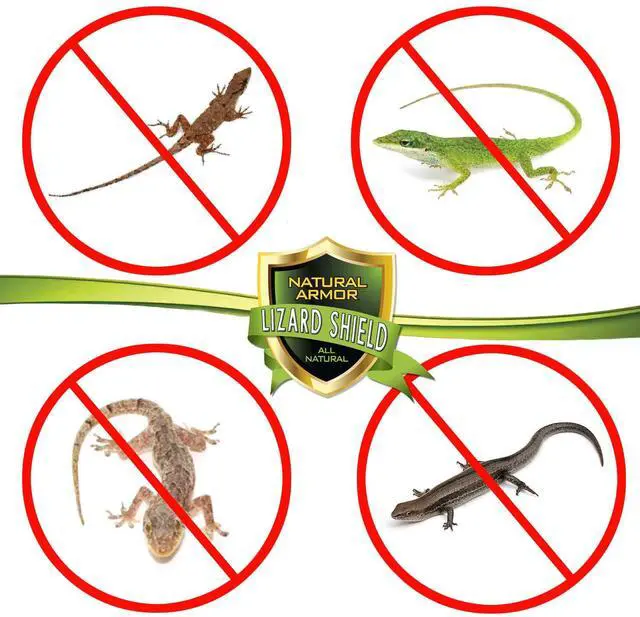 Alt view image 2 of 7 - Lizard & Gecko Repellent Spray - Powerful Peppermint Formulation Repels All Types of Lizards & Geckos and Works Better Than Ultrasonic Gimmicks 128 fl oz - Gallon Ready to Use