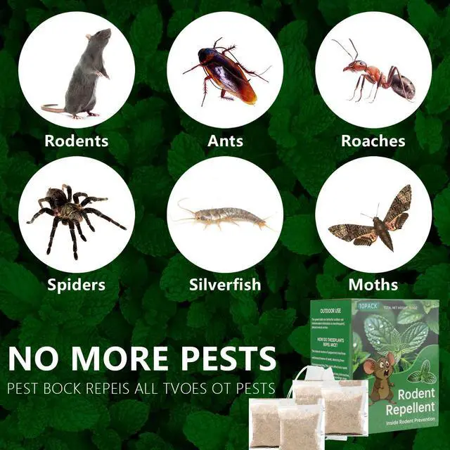 Alt view image 4 of 7 - Mouse Rodent Repellent, 10 Pack Peppermint Lemon Oil Mice Repellent for Squirrel Rats Spider Pests, Natural Deterrent for Kitchen, Warehouse, Car, Indoor, Outdoor, Safe for Pets & Family