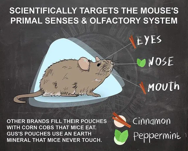 Alt view image 7 of 7 - Extra-Strength Mouse Repellent Pouches + Rodent Repellent Spray, Peppermint/Cinnamon, Home/RV, Boat/Car Storage & Machinery, 4 x 1.75 oz Pouches + 1 x 8 oz Spray