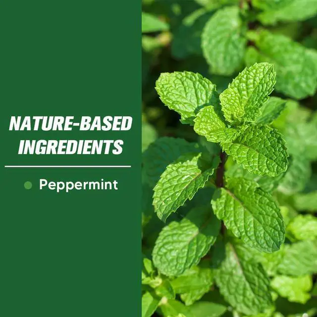 Alt view image 4 of 7 - Pest Control, Mice Repellent Indoor, Mouse Repellant Pouches, Rodent Repellent, Peppermint to Repel Ant, Roach & Spider, Rat Deterrent for House, Keep Mice Away, Effective for 60-90 Days-10P
