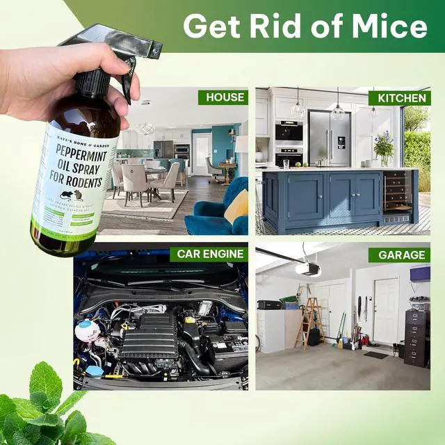 Alt view image 3 of 7 - Peppermint Oil Spray for Rodents, Mouse, Bat, Rat, Car Engines, Mice (16oz, Non-Toxic Rodent Repellent, Pet Safe)