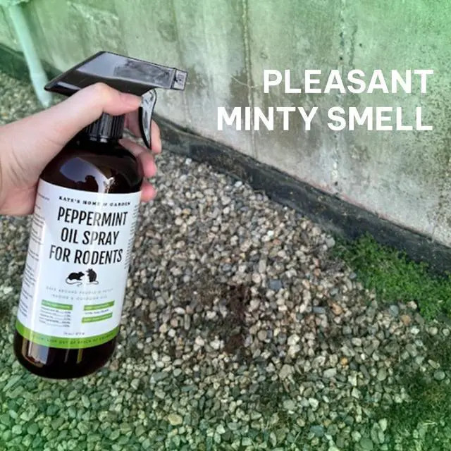 Alt view image 5 of 7 - Peppermint Oil Spray for Rodents, Mouse, Bat, Rat, Car Engines, Mice (16oz, Non-Toxic Rodent Repellent, Pet Safe)