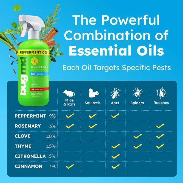Alt view image 2 of 7 - Peppermint Oil Spray for Rodents - 16oz Mouse Repellent & Rodent Repellent Spray, Natural Mice Repellent with Cinnamon, Clove, and Rosemary Oils - Safe Indoor & Outdoor Use
