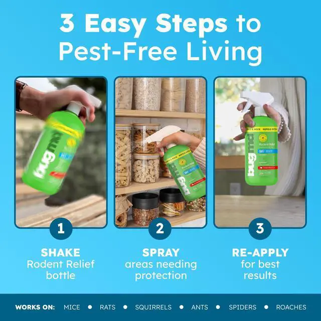 Alt view image 5 of 7 - Peppermint Oil Spray for Rodents - 16oz Mouse Repellent & Rodent Repellent Spray, Natural Mice Repellent with Cinnamon, Clove, and Rosemary Oils - Safe Indoor & Outdoor Use
