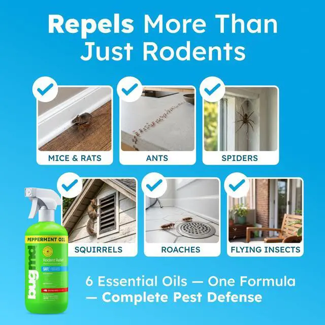 Alt view image 7 of 7 - Peppermint Oil Spray for Rodents - 16oz Mouse Repellent & Rodent Repellent Spray, Natural Mice Repellent with Cinnamon, Clove, and Rosemary Oils - Safe Indoor & Outdoor Use