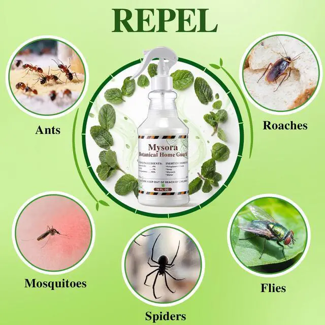 Alt view image 4 of 7 - Pack Peppermint Oil Spray Kit, 16oz Natural Plant-Based & 2 x 1oz Concentrate Refills, Natural Bug Spray Control for Ants, Spider, Flies, Mosquitoes, Mice, Rats, Bed Bug, Rodent, Safe for Kid