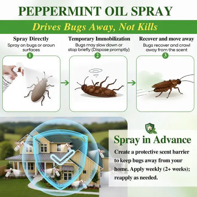 Alt view image 5 of 7 - Pack Peppermint Oil Spray Kit, 16oz Natural Plant-Based & 2 x 1oz Concentrate Refills, Natural Bug Spray Control for Ants, Spider, Flies, Mosquitoes, Mice, Rats, Bed Bug, Rodent, Safe for Kid