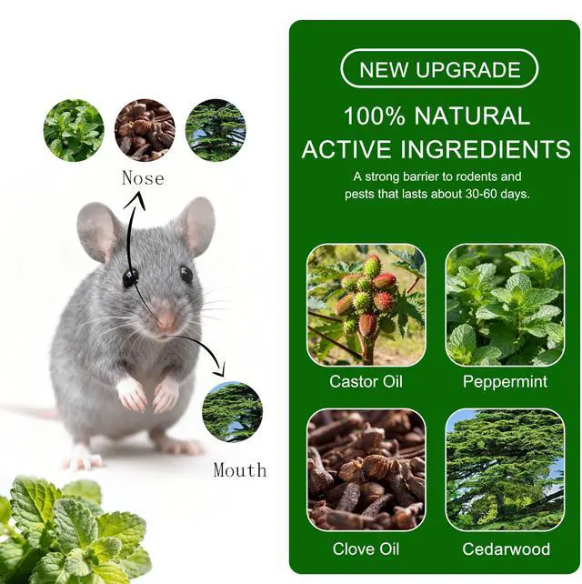 Alt view image 5 of 7 - 24 Pack Natural Mice Repellent Balls for Home - Peppermint Oil, Family & Pet Safe Rodent Deterrent for Indoor Outdoor Use, Garage, Garden, Caravan - Long Lasting Insect Repellen