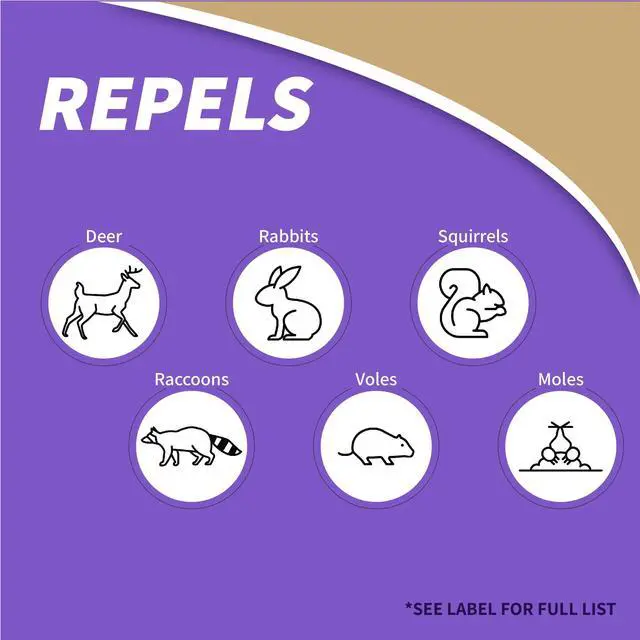 Alt view image 4 of 7 - Repels-All Animal Repellent, 32 oz Ready-to-Use Spray, Outdoor Garden Deer & Rabbit Repellent, People & Pet Safe