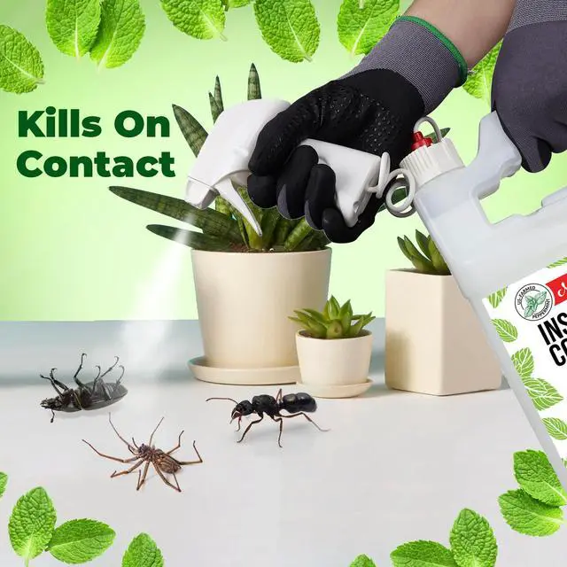 Alt view image 3 of 7 - Peppermint Oil Insect Repellent Plus Spray Natural Indoor & Outdoor Bug Control for Spiders, Ants, Roaches, and More Plant-Based, Extra-Strong Formula - 128 oz