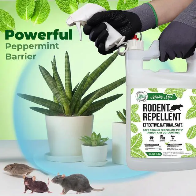 Alt view image 3 of 7 - Peppermint Oil Rodent Repellent Spray with Microfiber Cloth Natural Indoor & Outdoor Control for Mice and Rats Plant-Based, Extra-Strong Formula - 1 Gallon (128 oz)