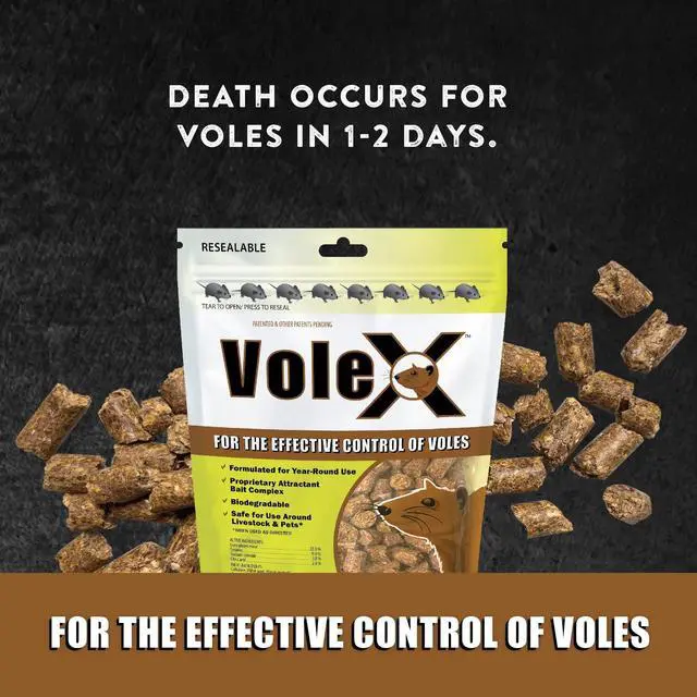 Alt view image 2 of 7 - Effective Against All Species of Voles. Safe for Use Around People, Pets, Livestock, and Wildlife