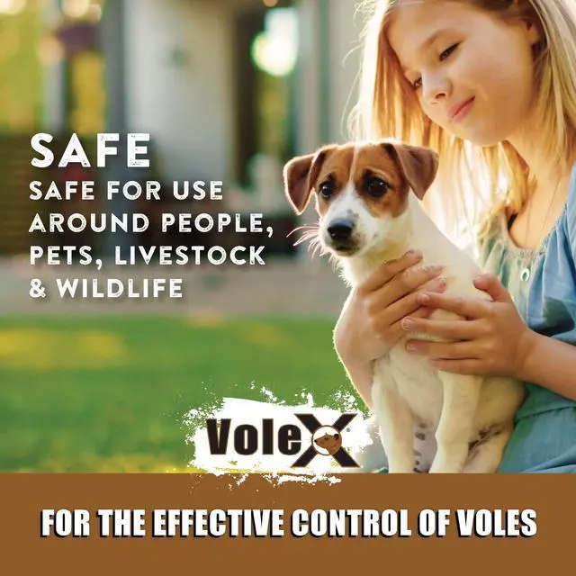 Alt view image 6 of 7 - Effective Against All Species of Voles. Safe for Use Around People, Pets, Livestock, and Wildlife